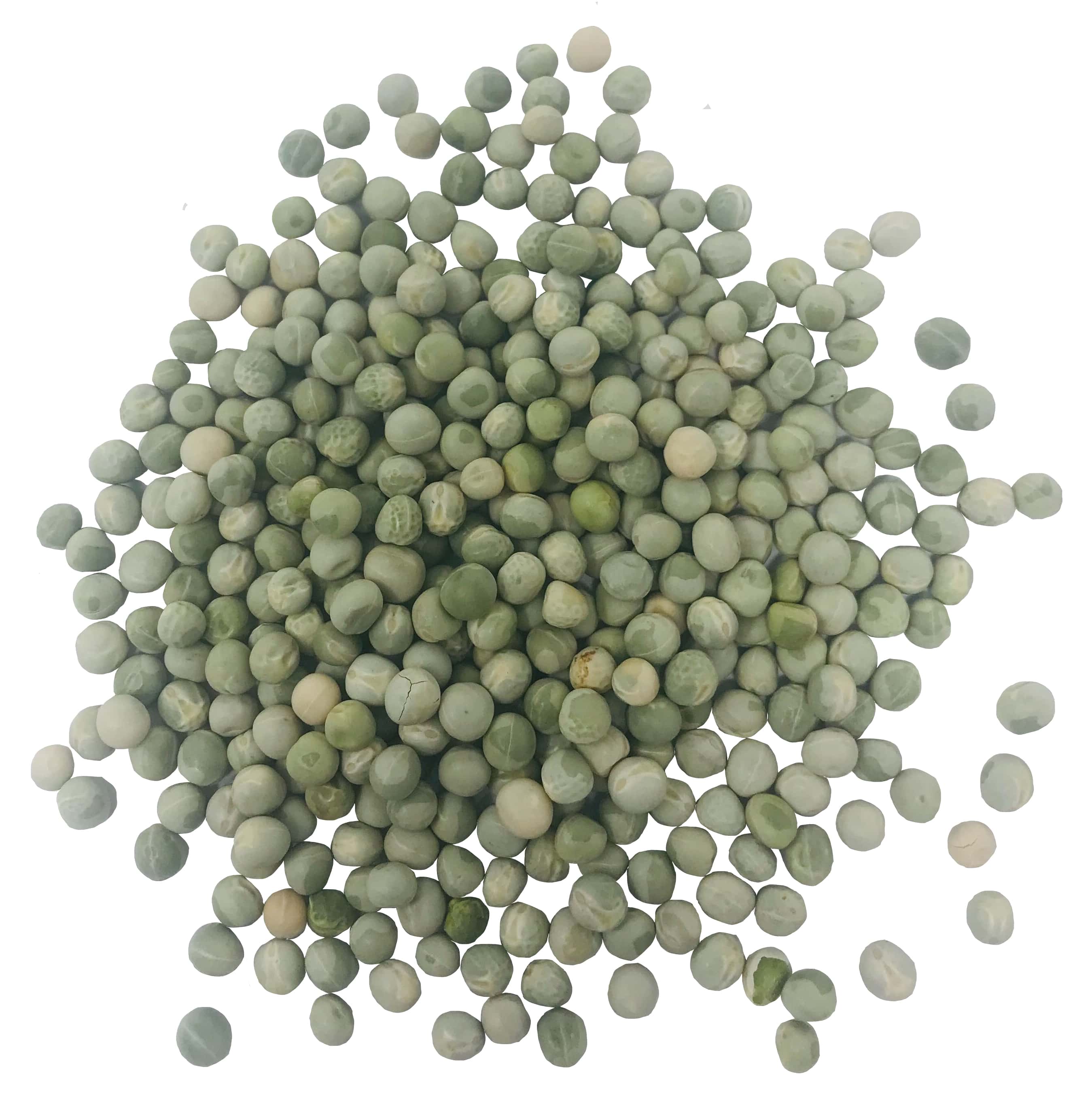 GREEN PEAS, 150 lbs — Raw, Whole, Kosher, Sproutable Grade by Food