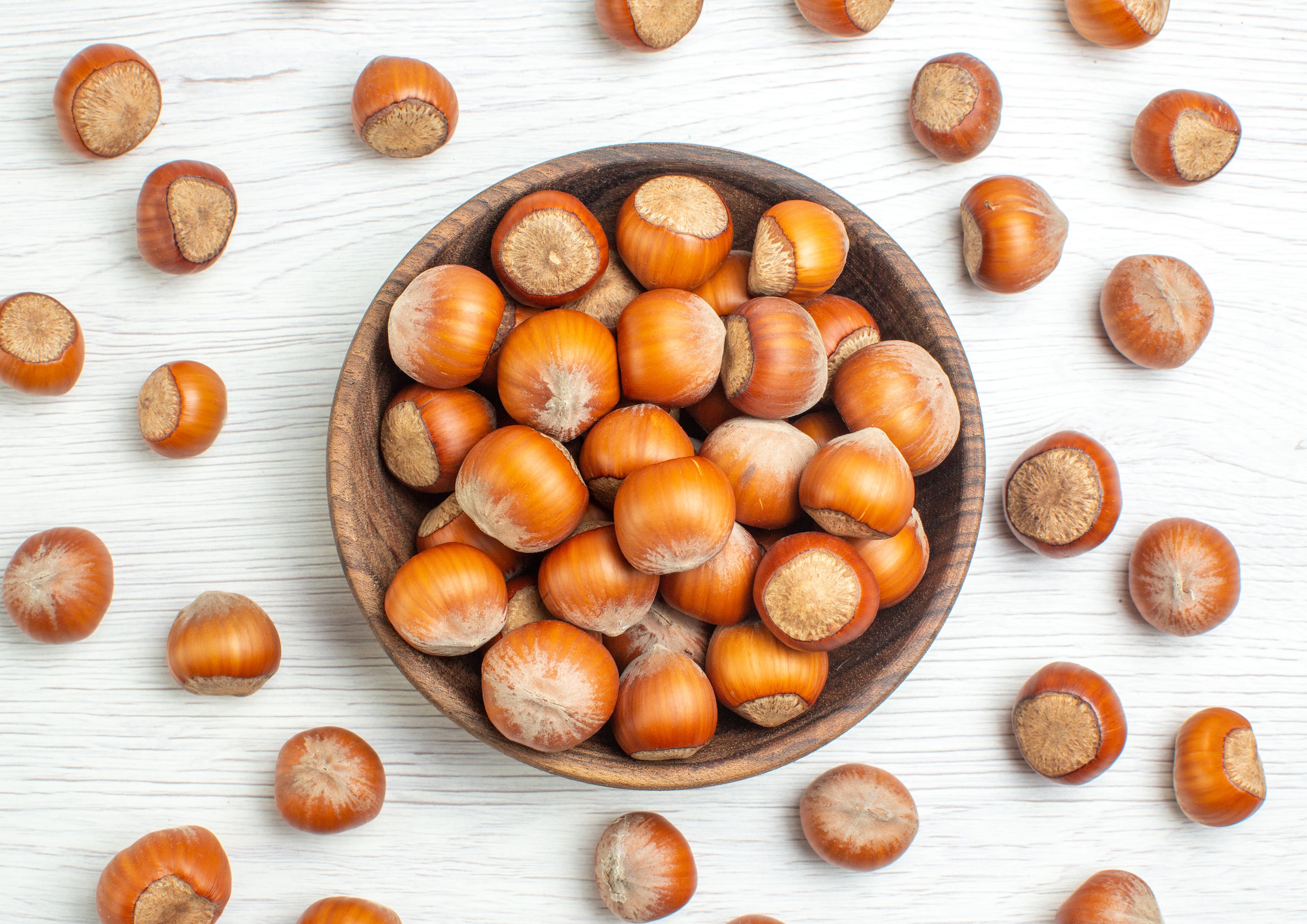 Organic Dry Roasted Blanched Hazelnuts with Himalayan Salt – Non-GMO, Vegan - Picture 49 of 49