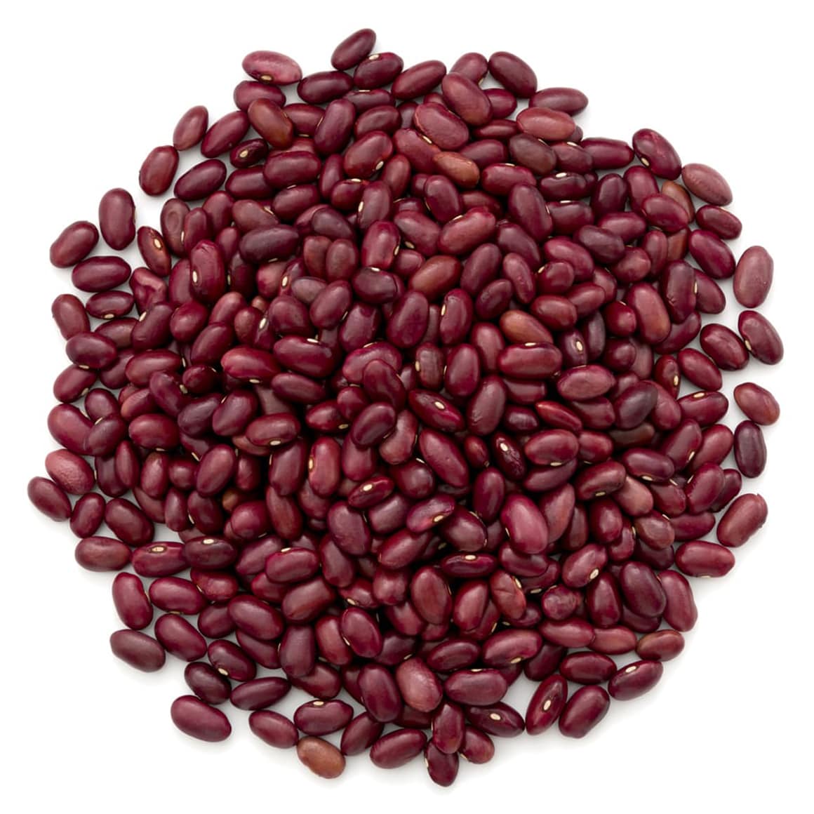 Organic Dark Red Kidney Beans NonGMO, Kosher, Raw, Sproutable by