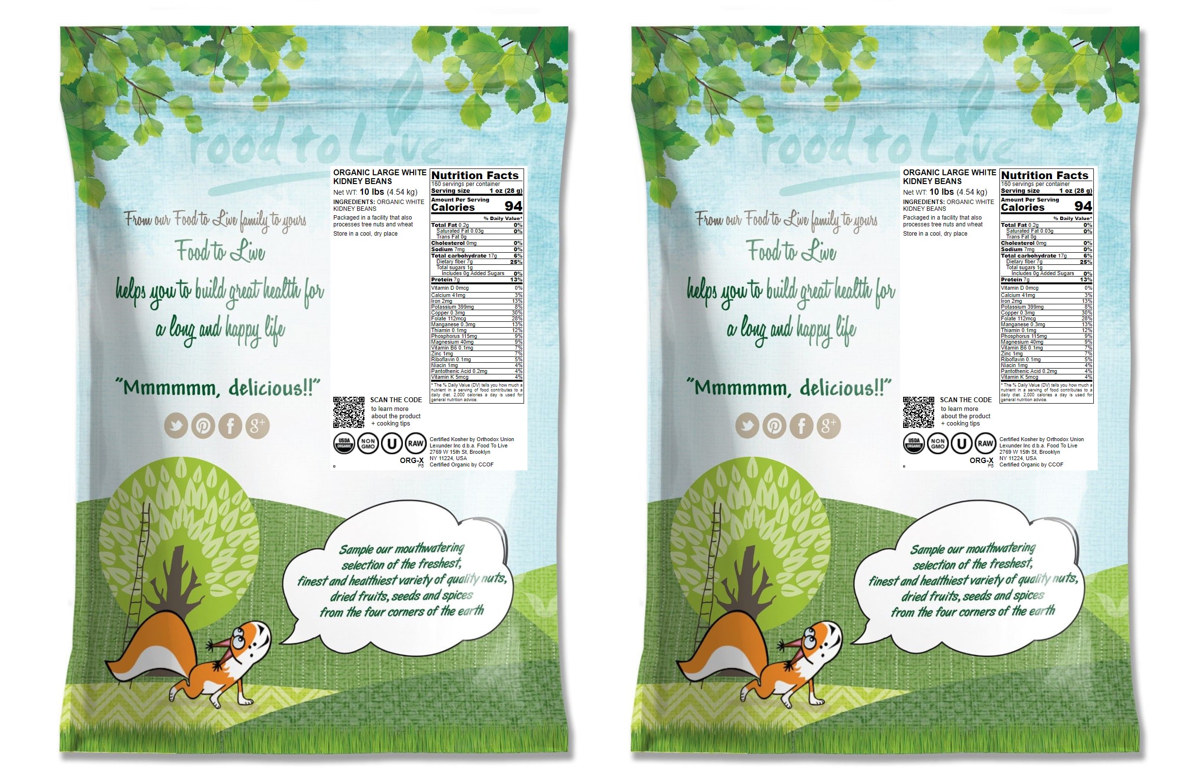 Organic Large White Kidney Beans — Whole Raw Dried Beans, Vegan, Kosher, Bulk.