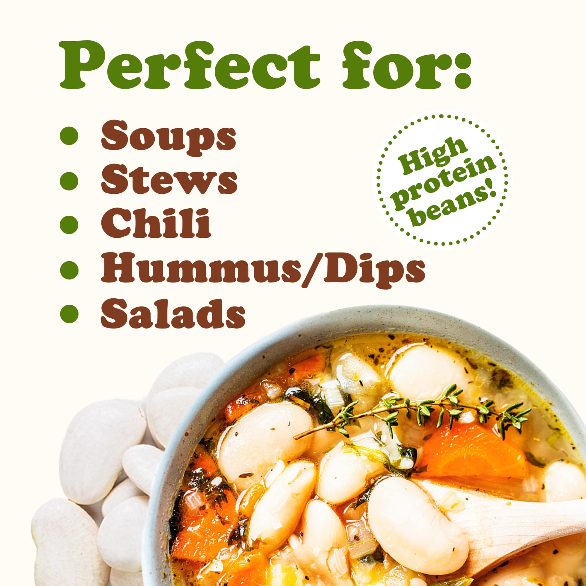 Large Lima Beans &ndash; Dry Butter Beans. Creamy Habas Grandes. Rich in Protein, Iron