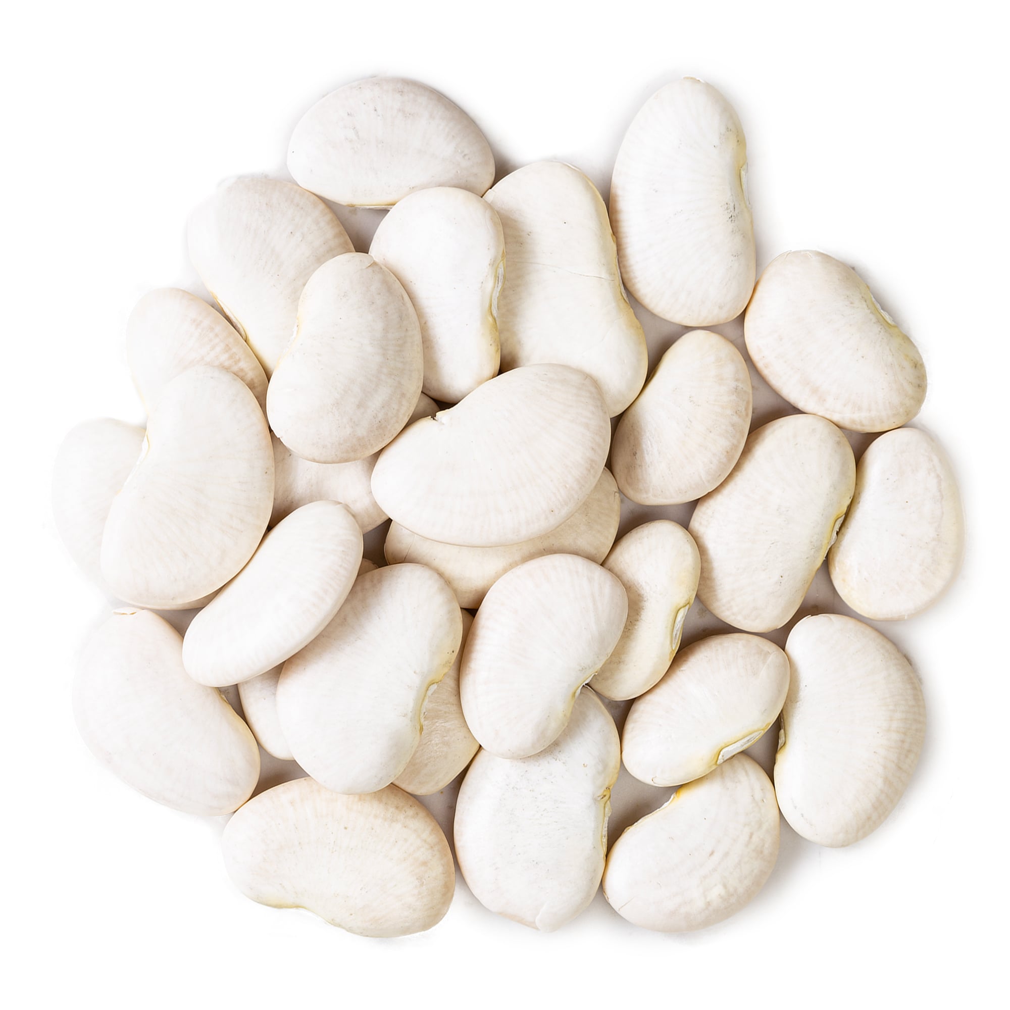 Large Lima Beans – Dry Butter Beans. Creamy Habas Grandes. Rich in Protein, Iron - Produktbild 1