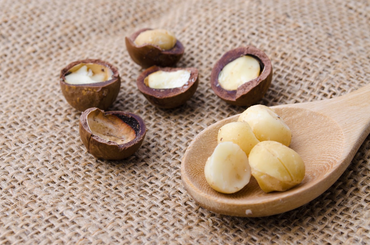 Organic Macadamia Nut Pieces — Raw,NonGMO,Unsalted,Kosher,Veganby Food to Live eBay