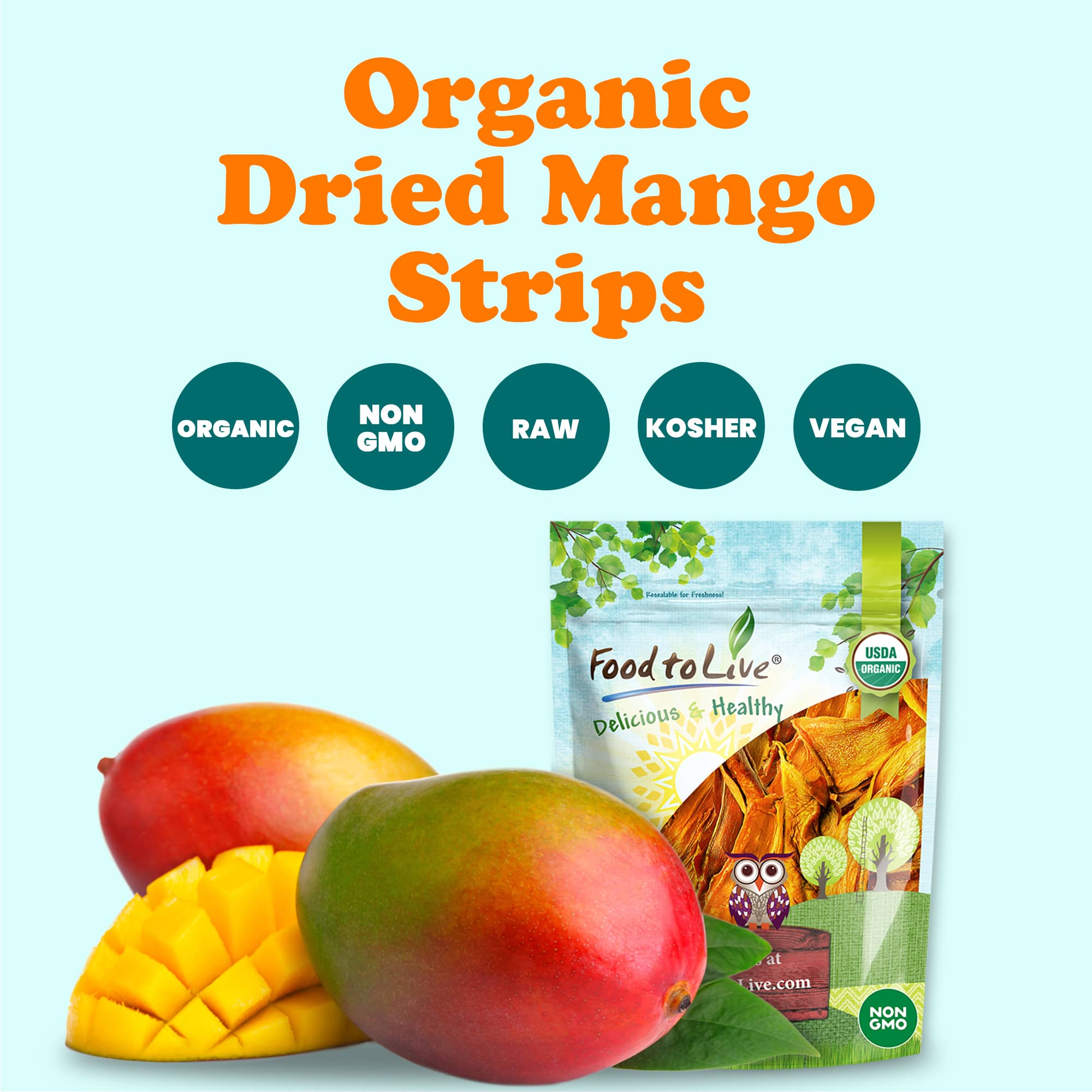 Organic Dried Mango Strips – Non-GMO, Unsulphured, Vegan, Kosher Food in Bulk - Picture 53 of 56