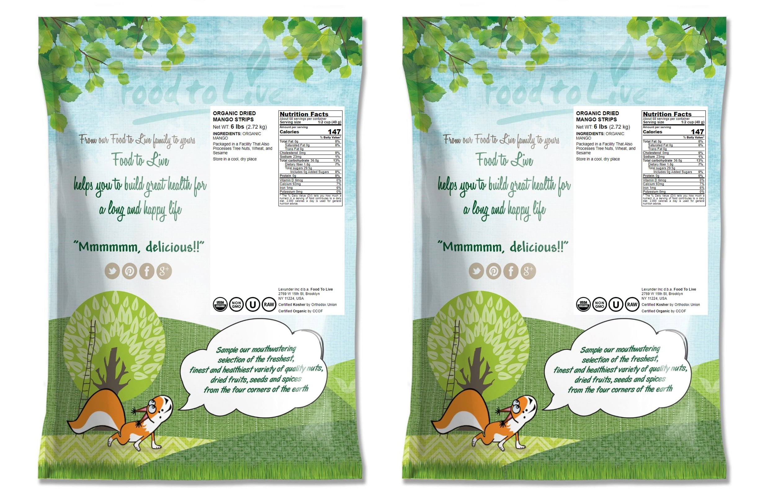 Organic Dried Mango Strips – Non-GMO, Unsulphured, Vegan, Kosher Food in Bulk - Picture 10 of 56