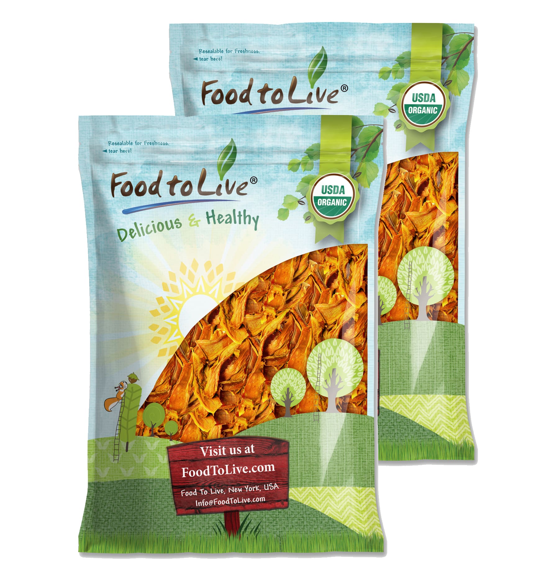 Organic Dried Mango Strips – Non-GMO, Unsulphured, Vegan, Kosher Food in Bulk - Picture 9 of 56
