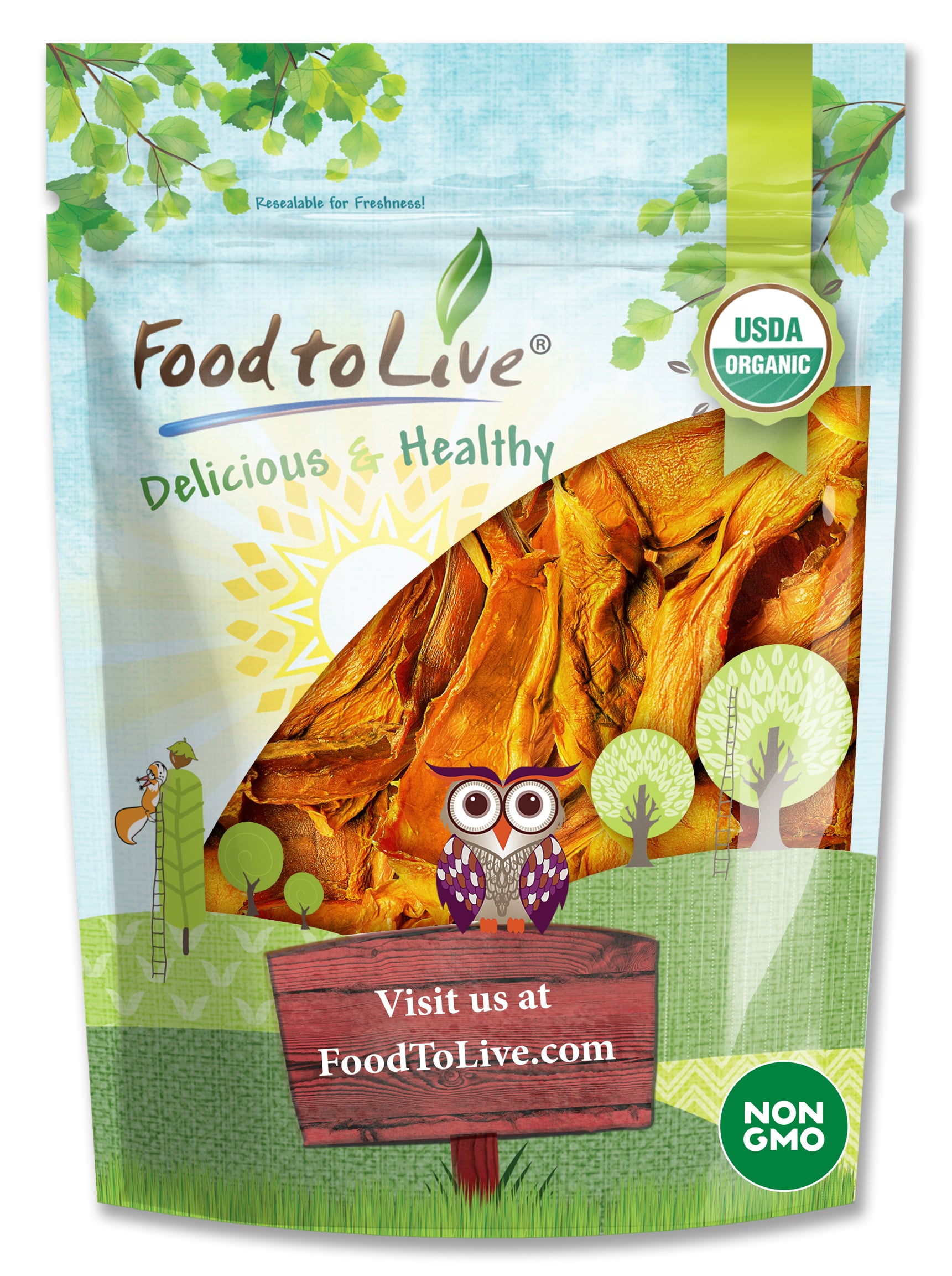 Organic Dried Mango Strips – Non-GMO, Unsulphured, Vegan, Kosher Food in Bulk - Picture 25 of 56