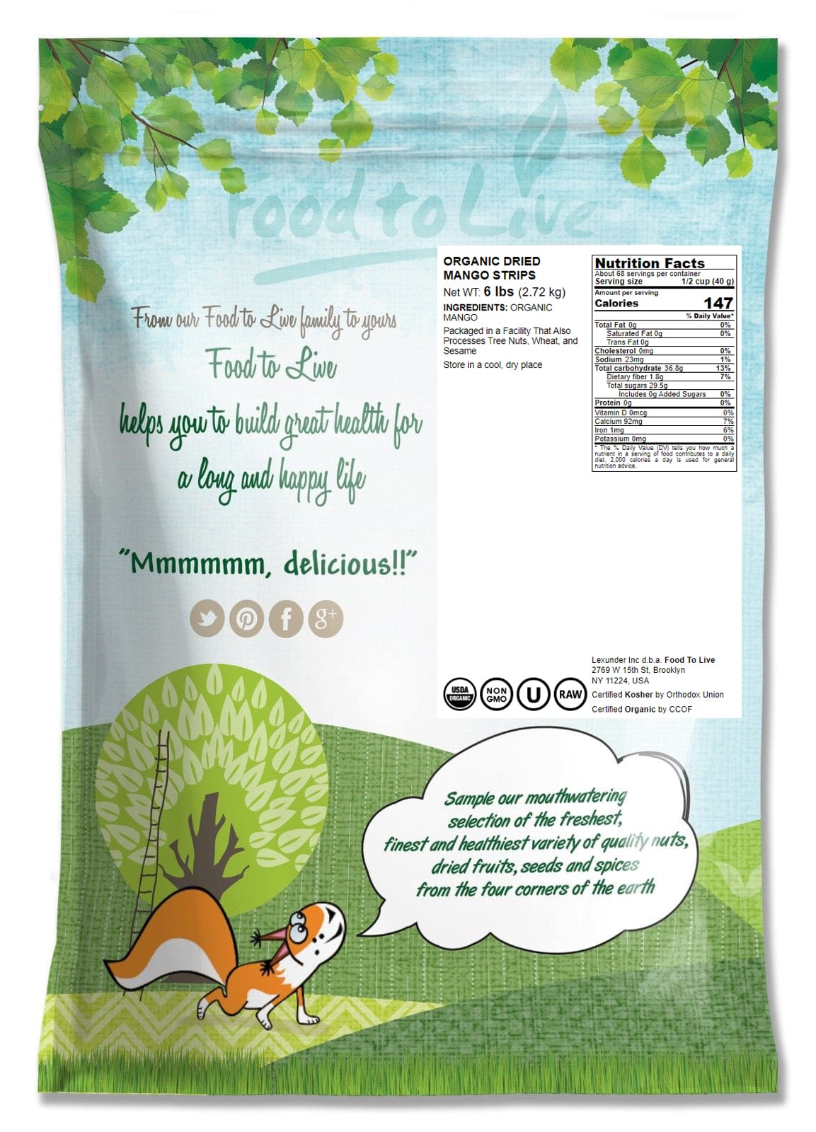 Organic Dried Mango Strips – Non-GMO, Unsulphured, Vegan, Kosher Food in Bulk - Picture 18 of 56