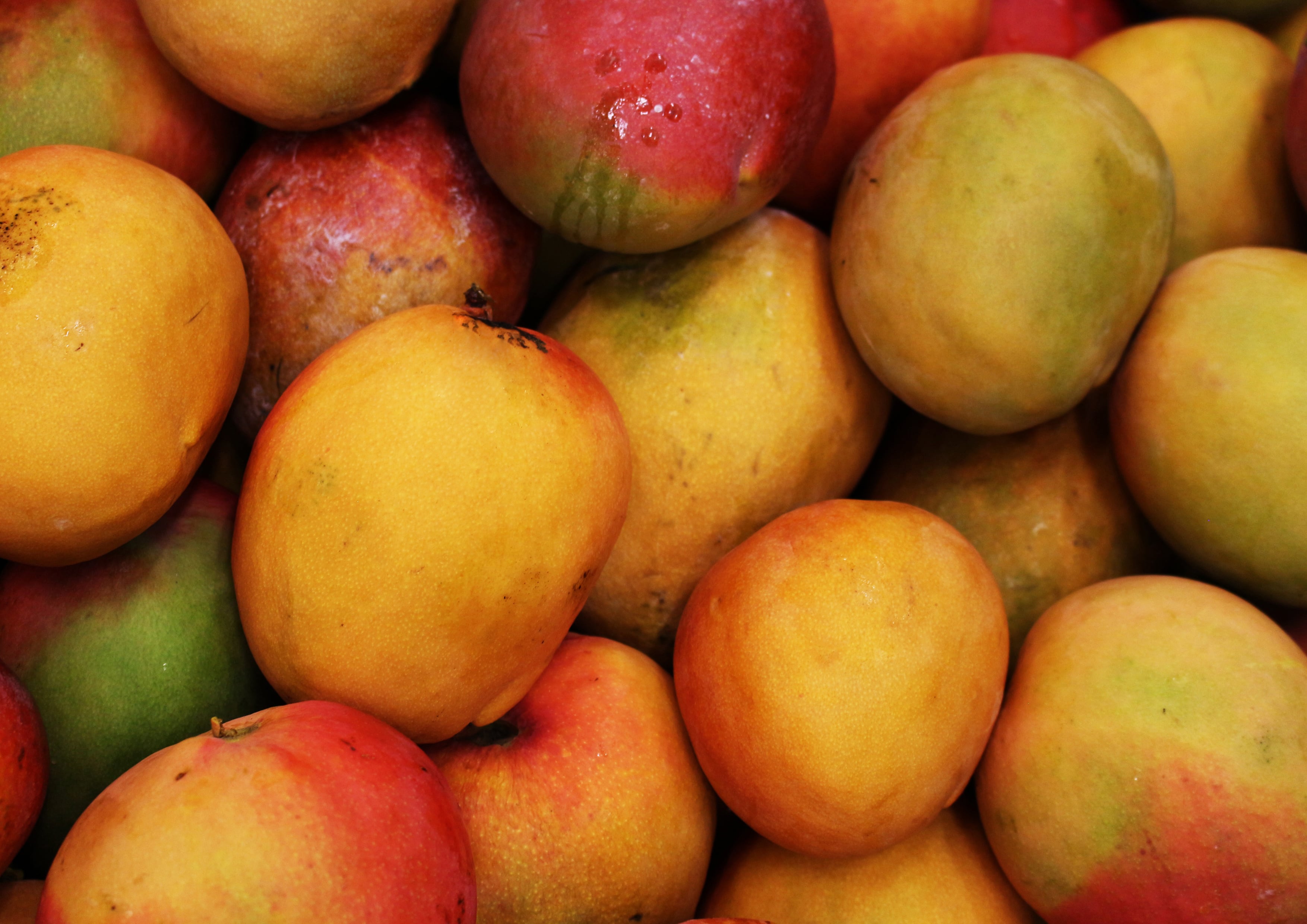 Organic Mango Powder - Non-GMO, Unsulfured, Great for Baking, No Sulphites - Picture 36 of 54