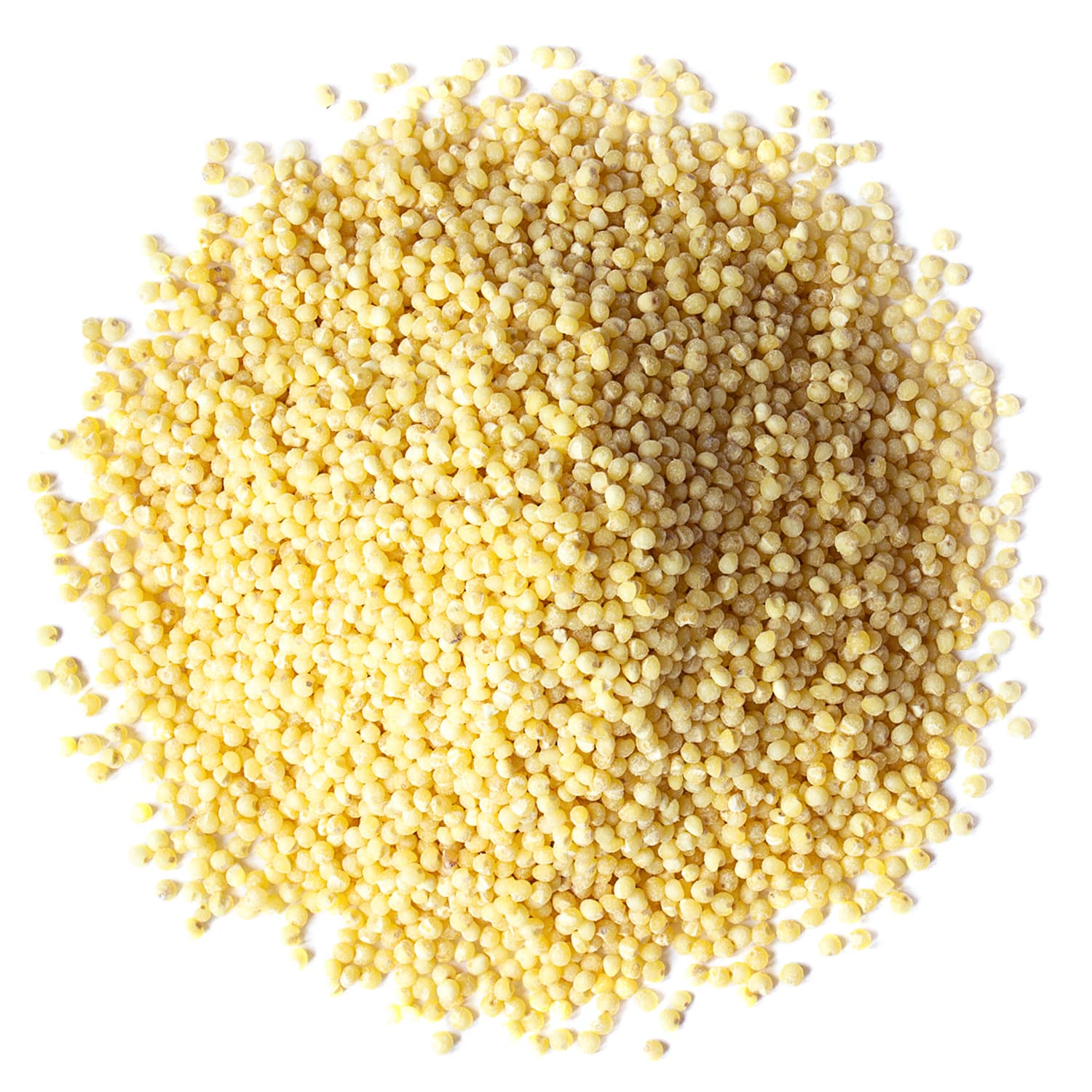 Millet Seeds - Sproutable, Kosher, Raw, Vegan - by Food To Live
