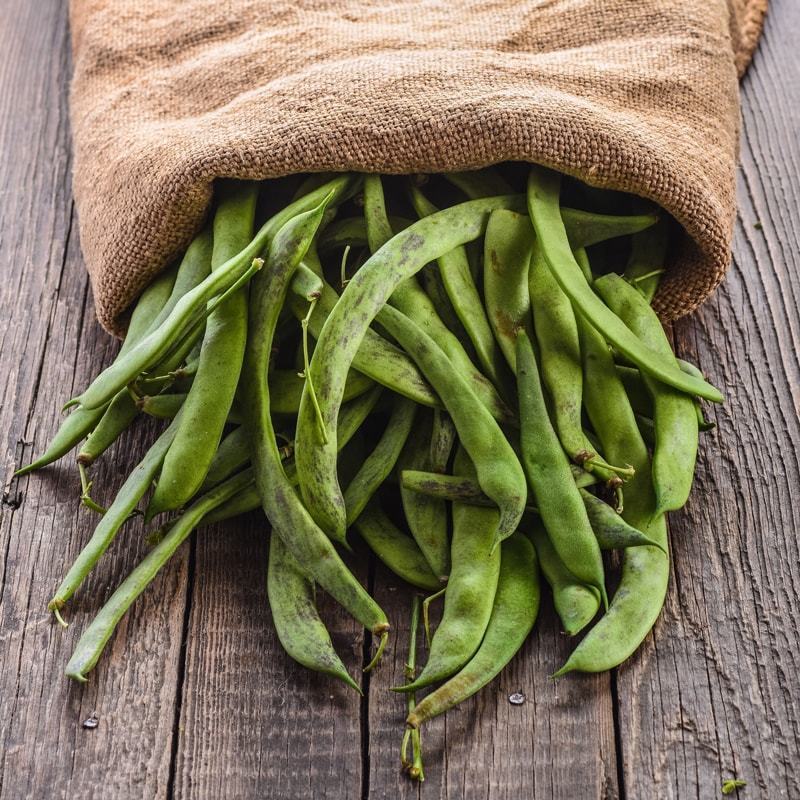 Organic Great Northern Beans &ndash; Dried, Non-GMO, Kosher, Raw, Sproutable, Bulk