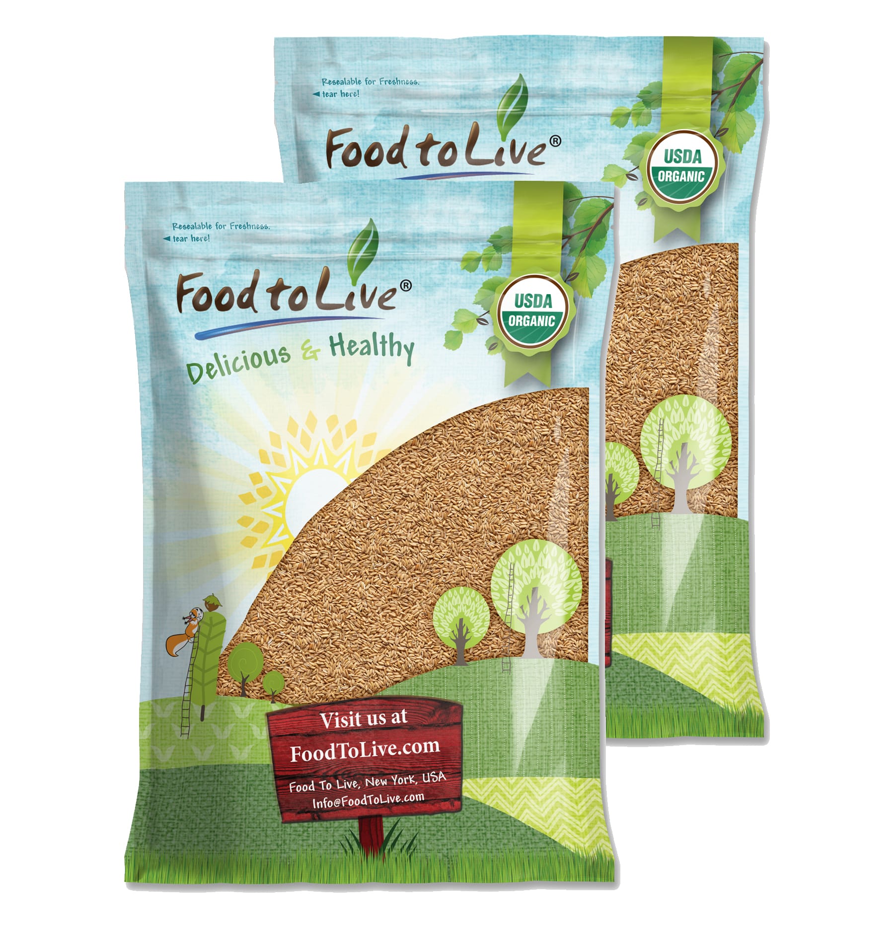 Gluten Free Organic Oat Groats — Non-GMO Seeds, Raw, Non-Irradiated, Vegan, Bulk - Picture 11 of 64