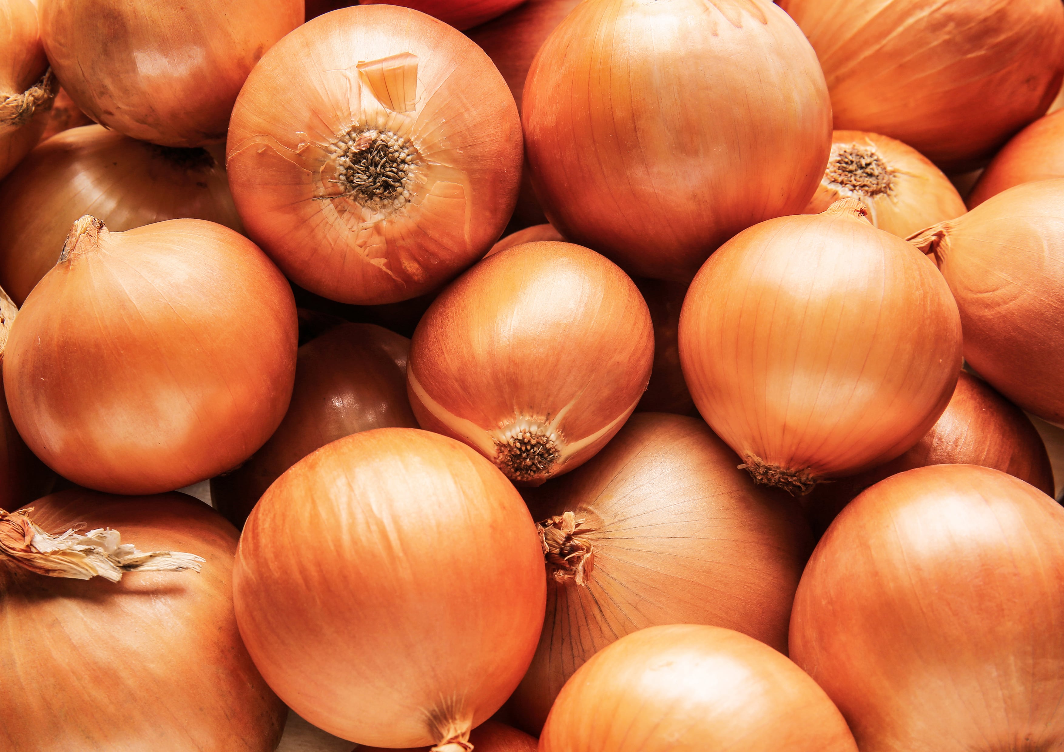 Onion Powder – Finely Ground Dried Onions, Pure, Vegan, Bulk. Rich Onion Flavor - Picture 16 of 56