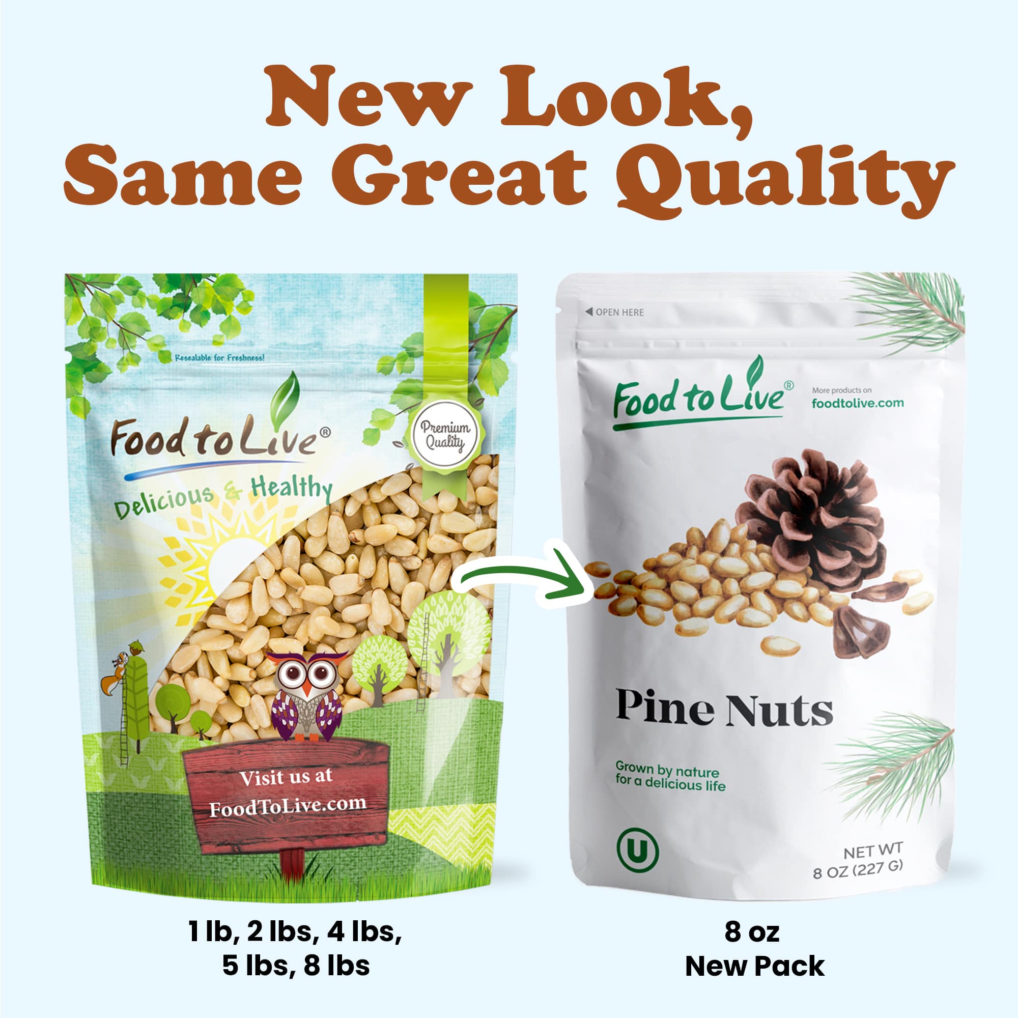 Pine Nuts – Whole Raw Pignolias, Unsalted, Vegan, Kosher, Bulk, Great for Pesto - Picture 37 of 107
