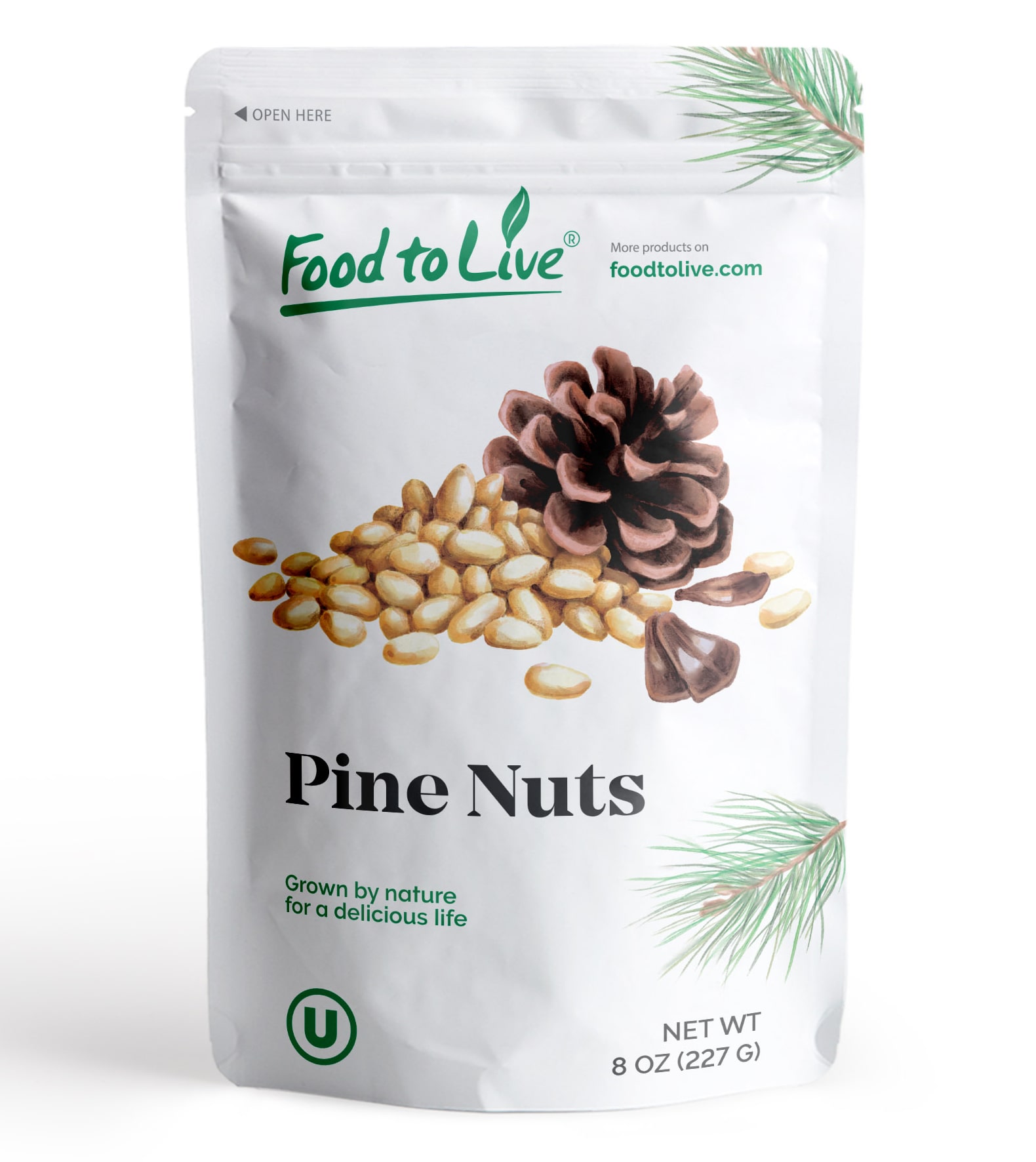 Pine Nuts – Whole Raw Pignolias, Unsalted, Vegan, Kosher, Bulk, Great for Pesto - Picture 99 of 107