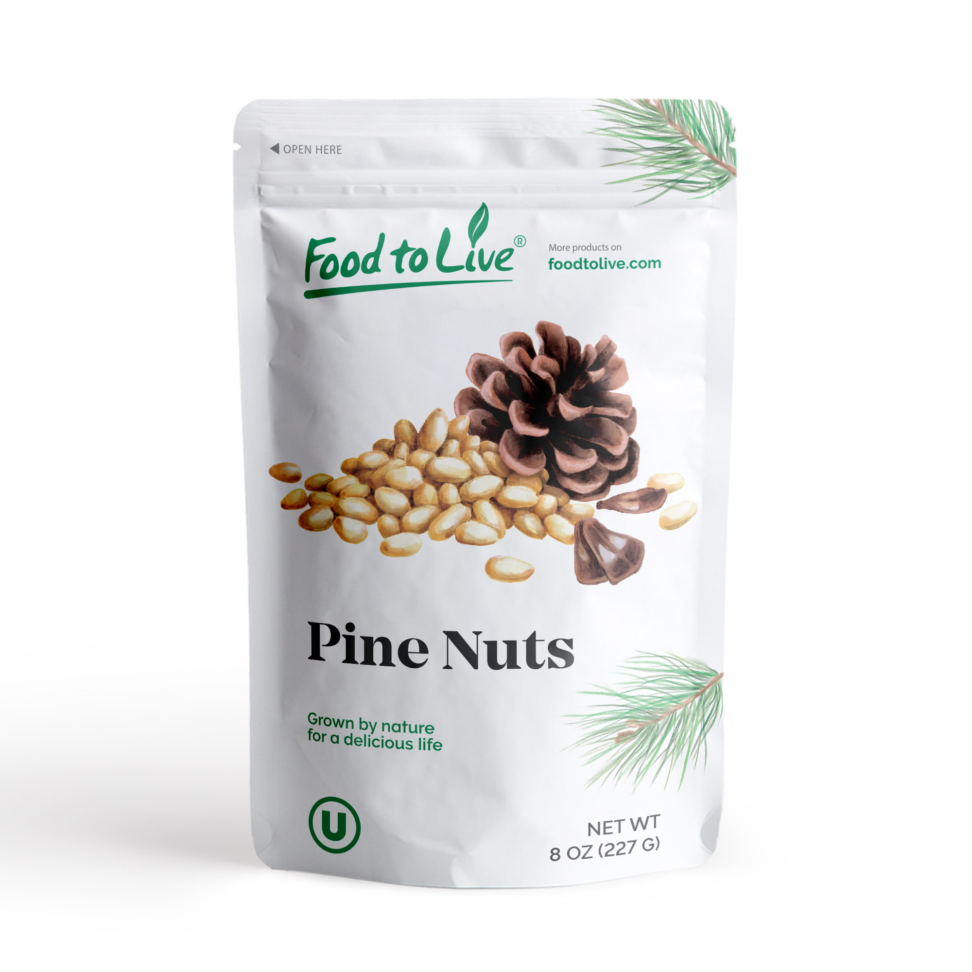 Dry Roasted Pine Nuts with Himalayan Salt – No Oil Added, Vegan, Kosher, Bulk - Picture 49 of 56