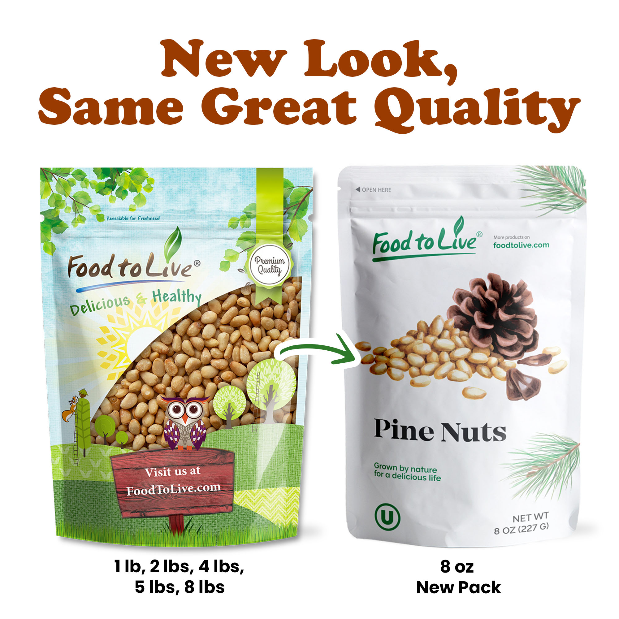 Dry Roasted Pine Nuts with Himalayan Salt – No Oil Added, Vegan, Kosher, Bulk - Picture 56 of 56