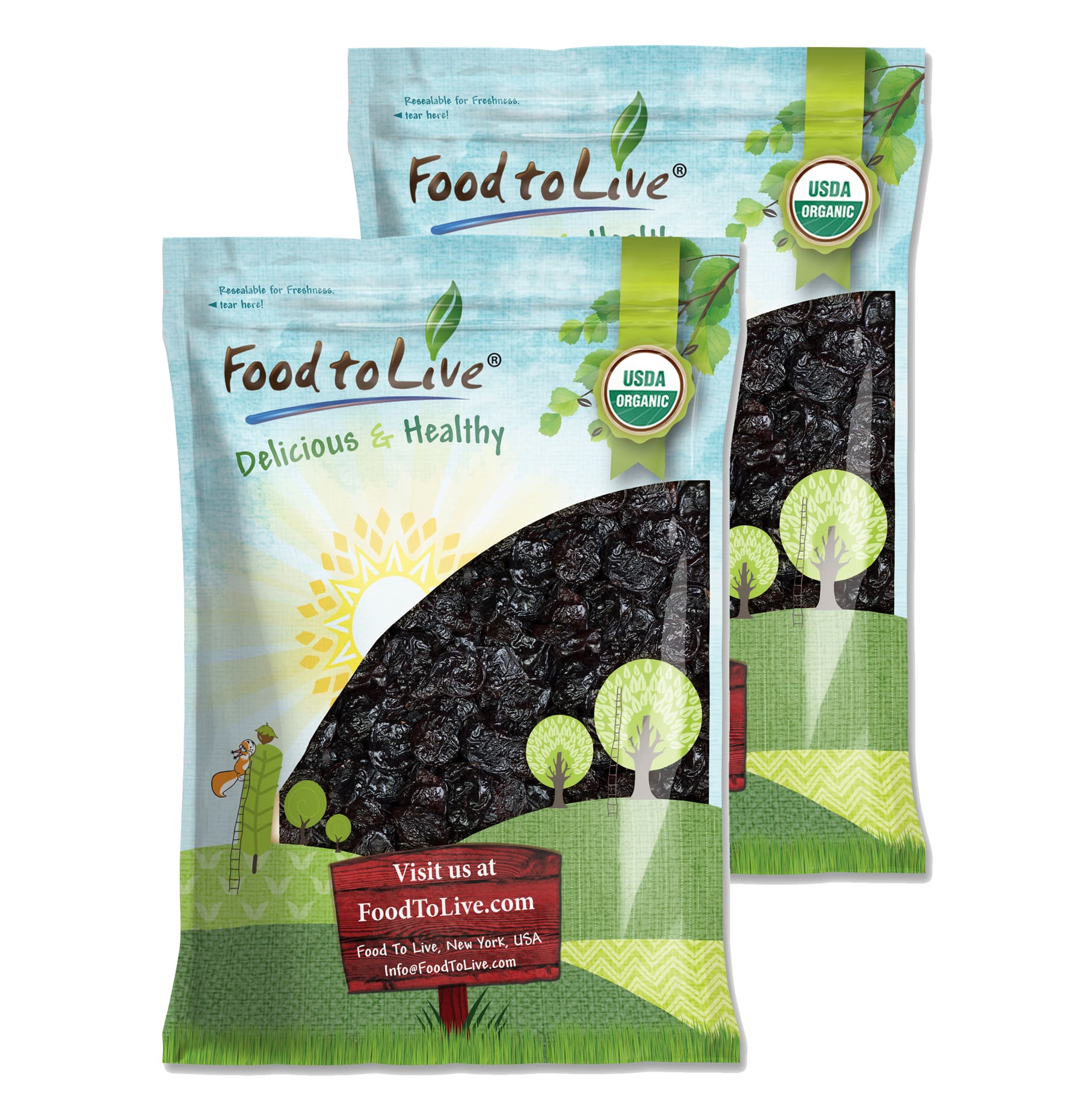 Organic Pitted Prunes - Non-GMO, Kosher, Raw, Vegan - by Food To Live - Picture 52 of 59