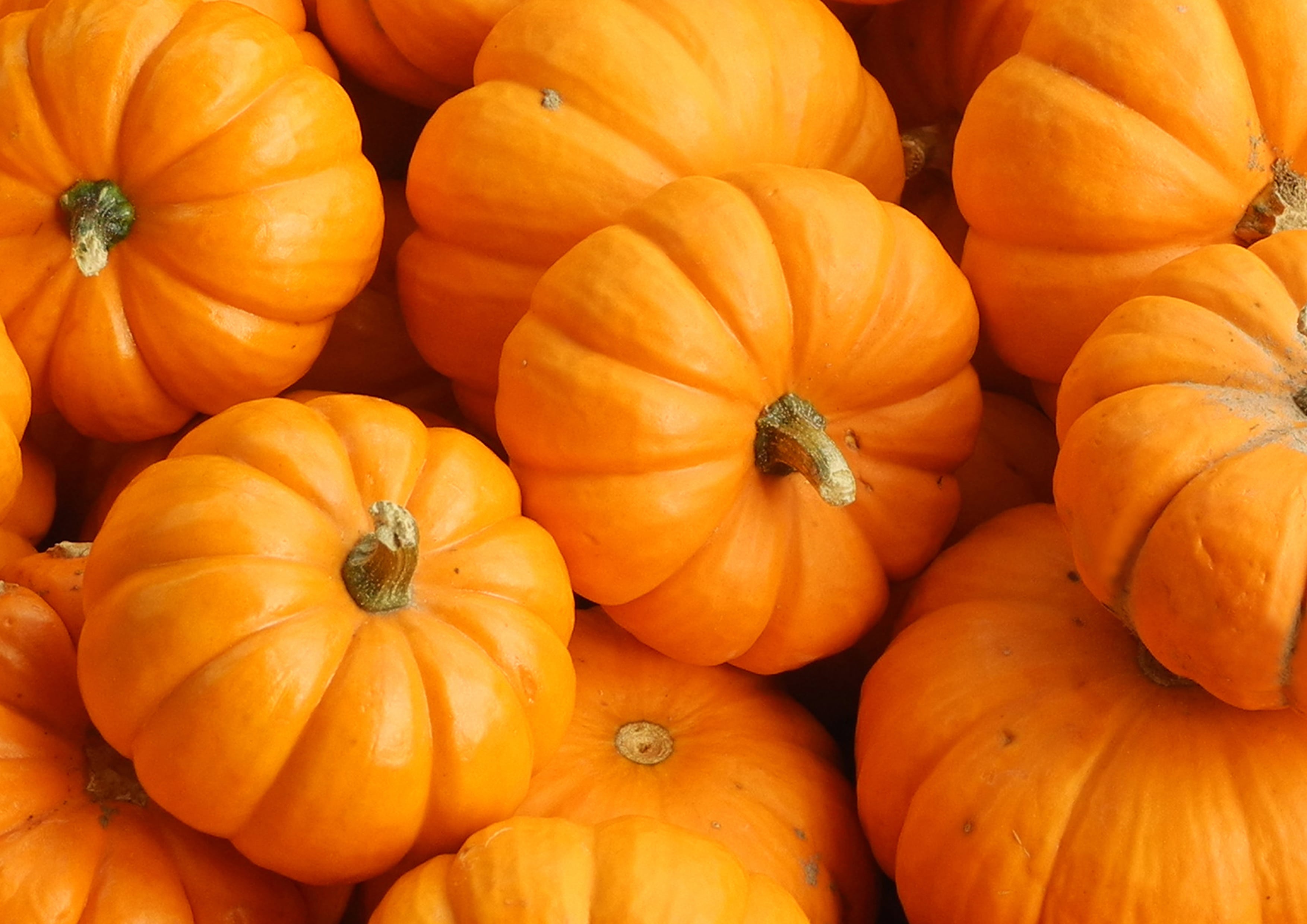 Organic Dry Roasted Pumpkin Seed Kernels - Non-GMO, Unsalted, Vegan, Kosher