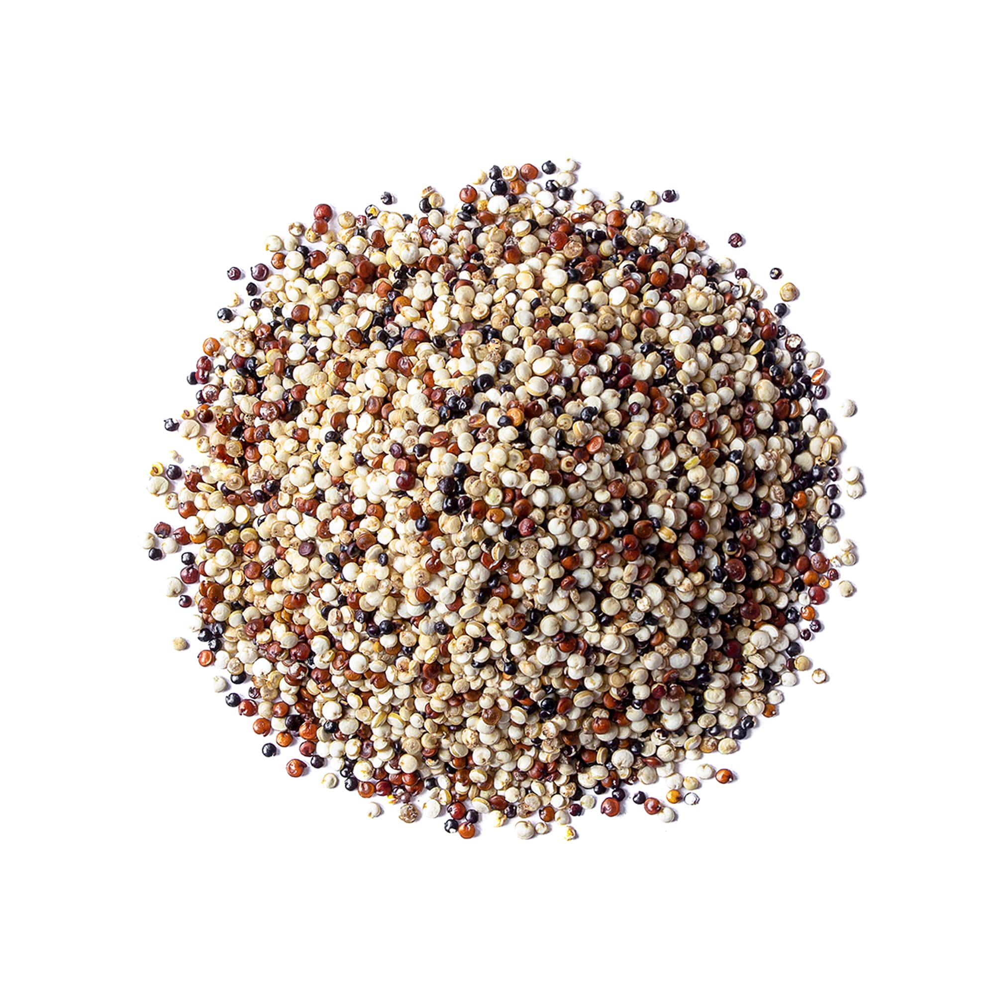Tri-Color Quinoa Grain–Pre-Washed, Ready to Cook.A Nutrient-Rich Superfood. Bulk - Picture 11 of 48