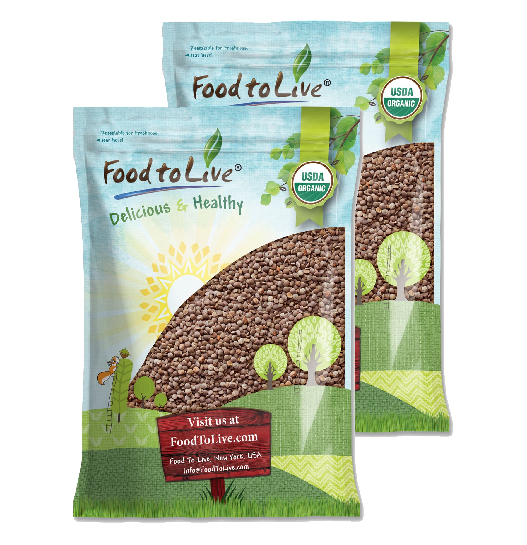 Organic Red Lentils Whole - Non-GMO, Kosher, Raw, Sproutable - by Food to Live - Picture 43 of 49