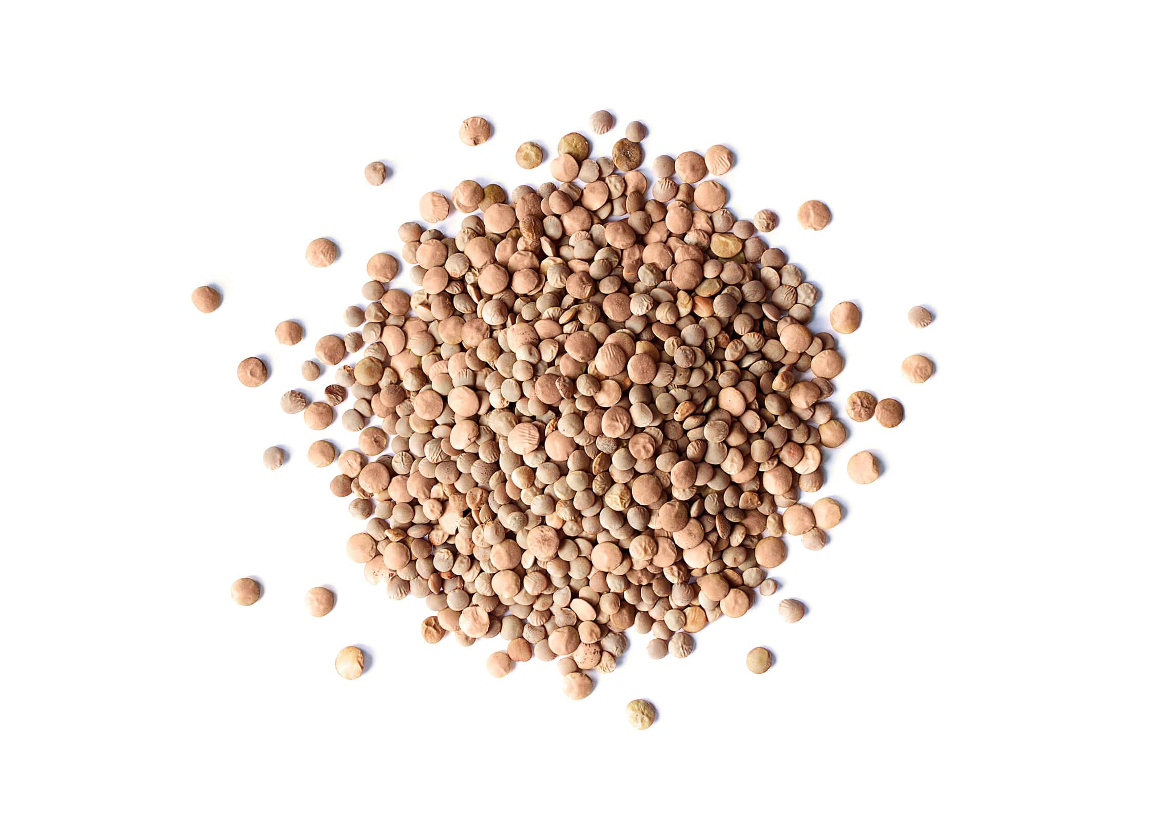 Organic Red Lentils Whole - Non-GMO, Kosher, Raw, Sproutable - by Food to Live - Picture 31 of 49