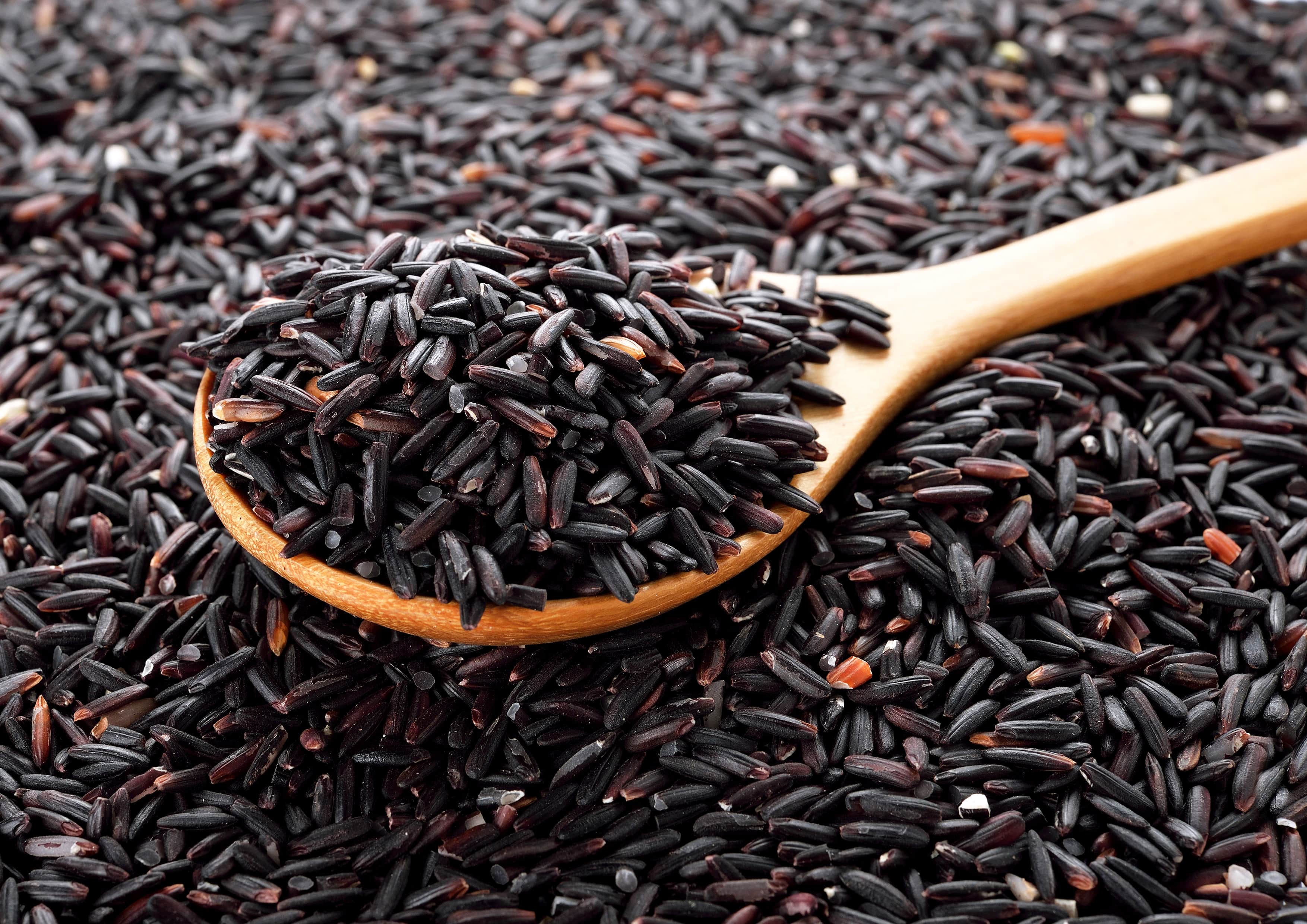 Black Rice — Whole Grain Rice, Medium-Grain Rice, Kosher, Vegan, Bulk