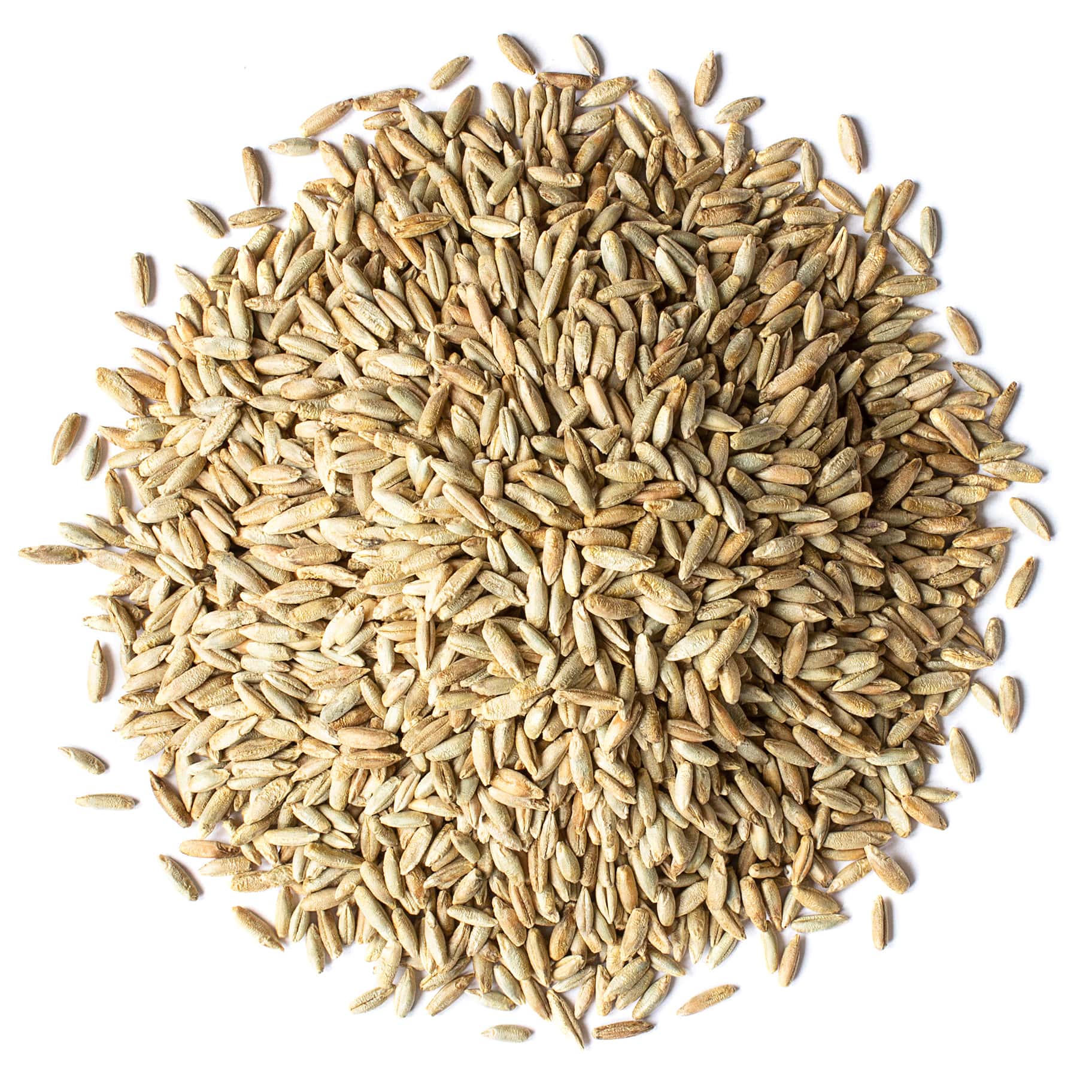 Organic Rye Berries Whole Wheat Grain, NonGMO, Kosher, Raw by Food