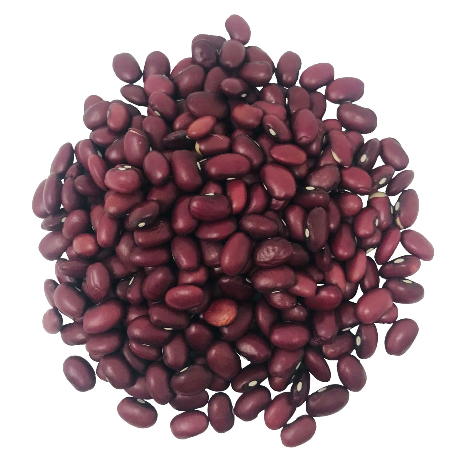 Organic Small Red Chili Beans 1 Pound Nongmo Kosher Vegan Dry Raw