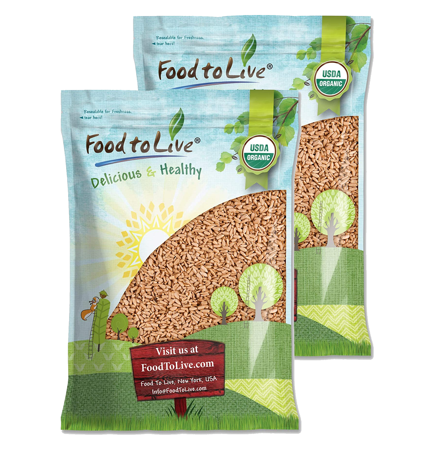 Organic Dry Roasted Sunflower Seeds with Himalayan Salt - Non-GMO, Kosher, Vegan - Picture 7 of 42