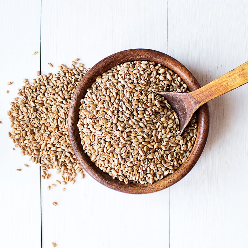 Certified Organic WHEAT BERRIES (WHEAT GRASS) (NonGMO, Kosher) eBay