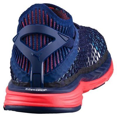 champs men's shoes