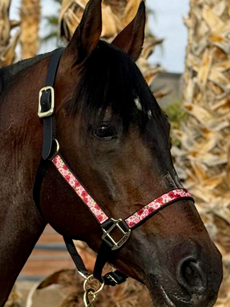 Soporte de cinta premium Anni Lyn Sportswear - Imagen 7 de 48