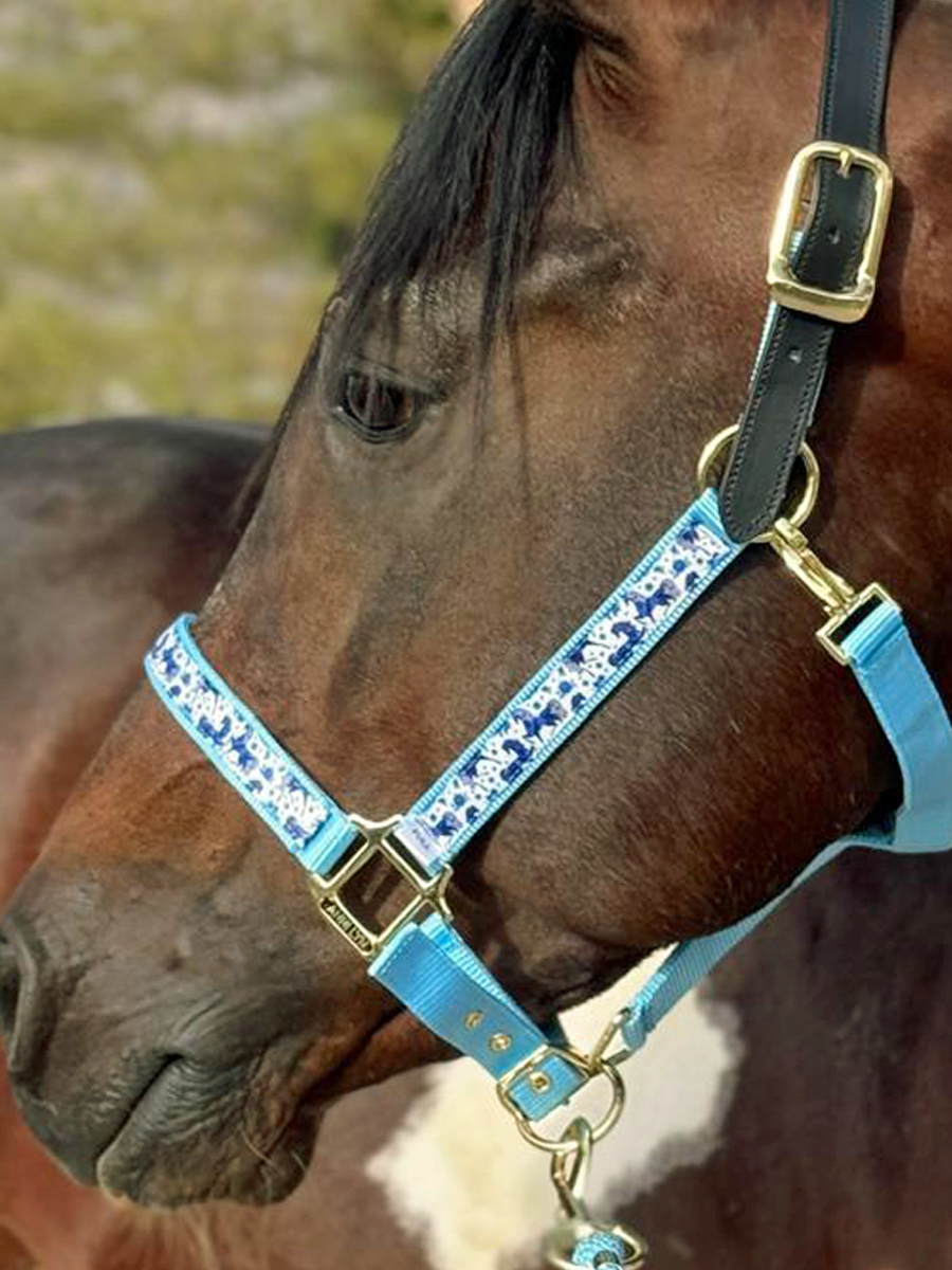 Soporte de cinta premium Anni Lyn Sportswear - Imagen 23 de 48