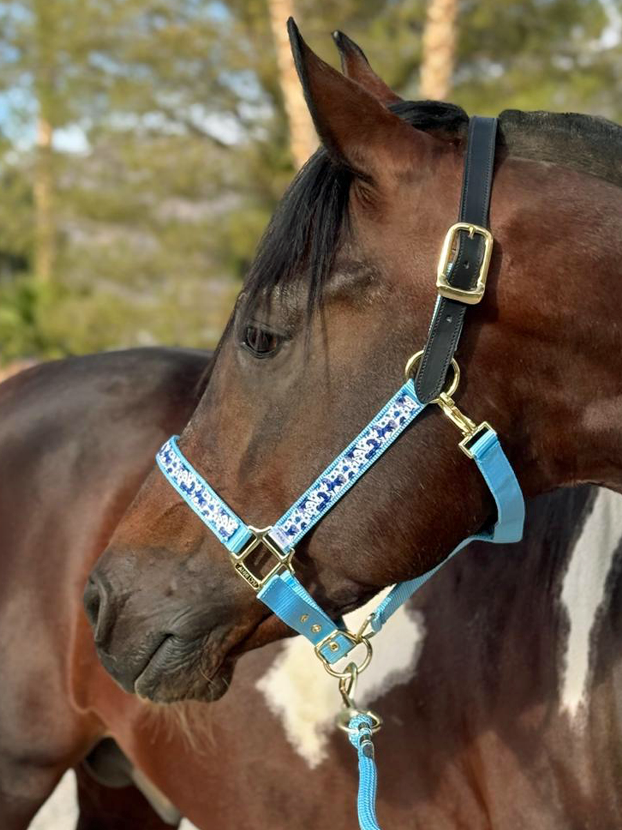 Soporte de cinta premium Anni Lyn Sportswear - Imagen 26 de 48