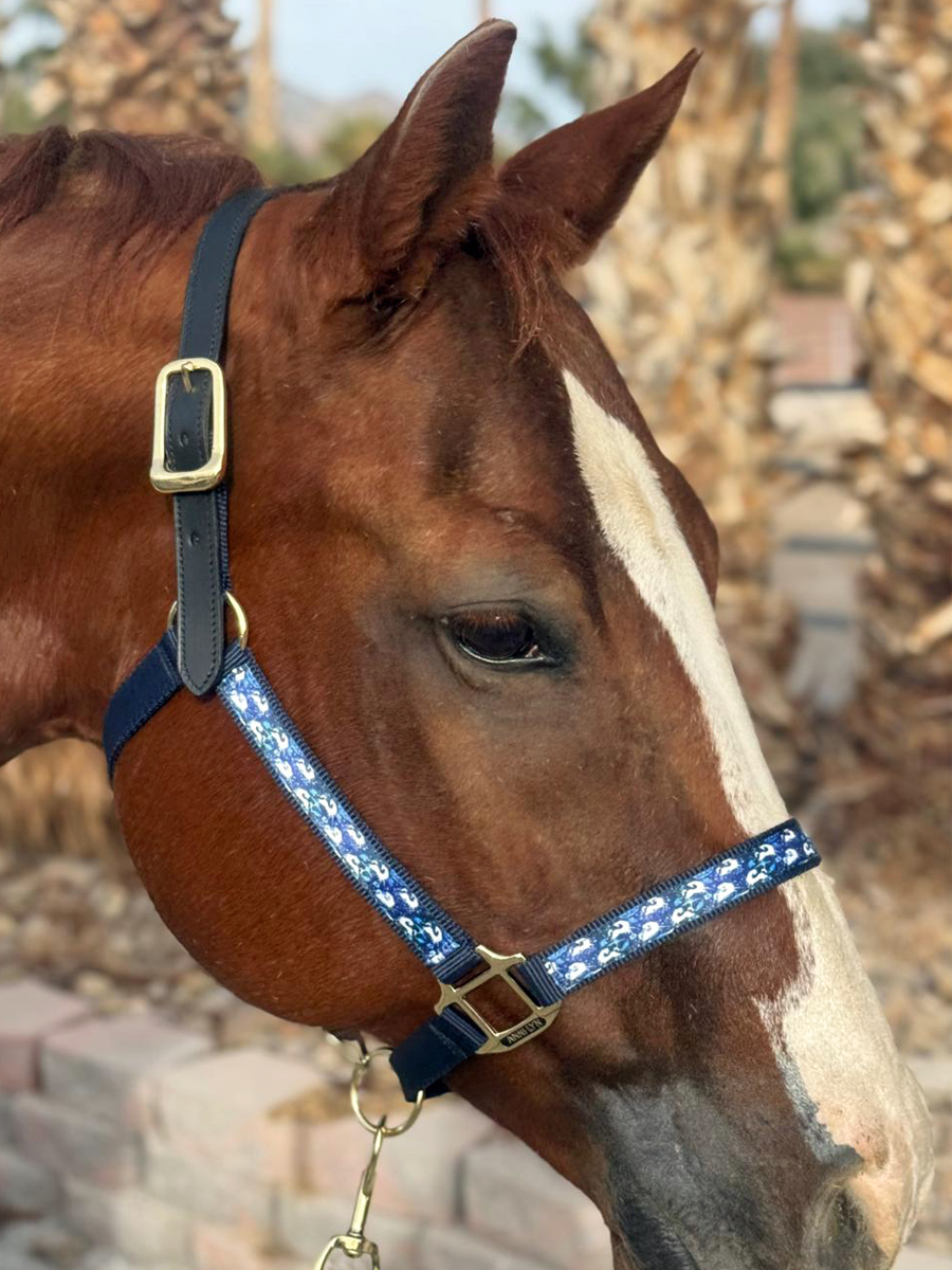 Soporte de cinta premium Anni Lyn Sportswear - Imagen 40 de 48