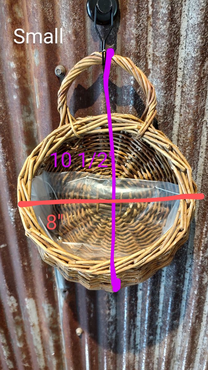 Bild 10 von 10