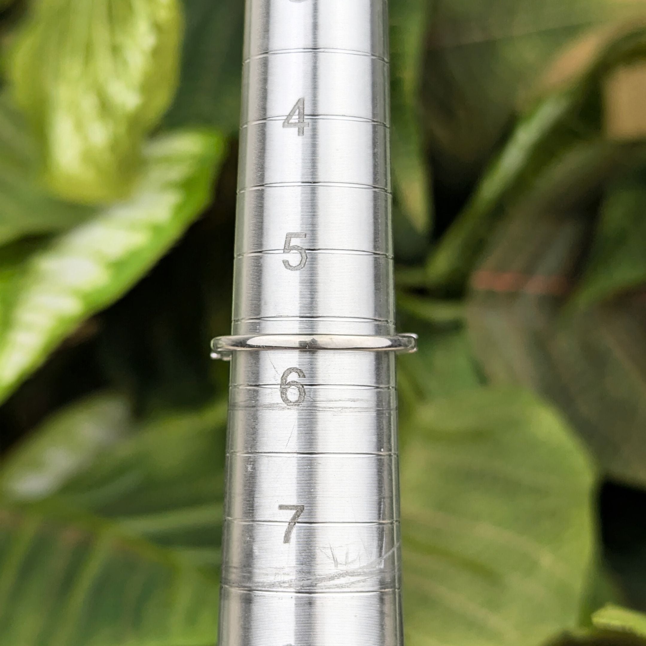 Rosigblau 10K Weißgold 0,25tcw Diamant Jubiläumsband - Größe 5,75 - Bild 6 von 7