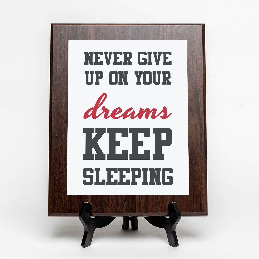 Never Give Up On Your Dreams Keep Sleeping Decorative Wall Plaque