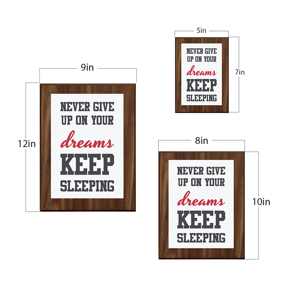Never Give Up On Your Dreams Keep Sleeping Decorative Wall Plaque