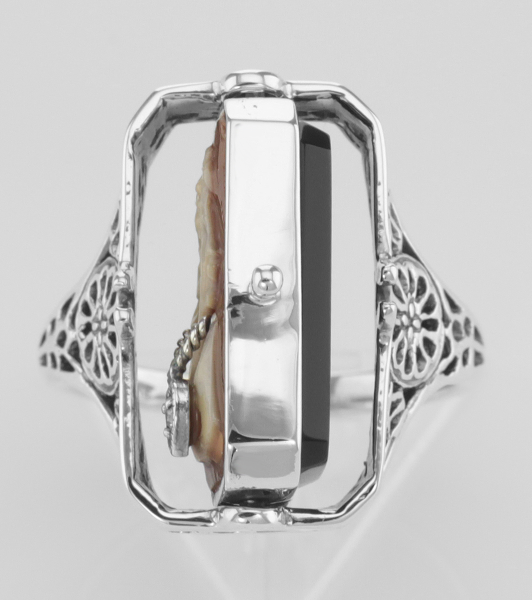 buff ring protector