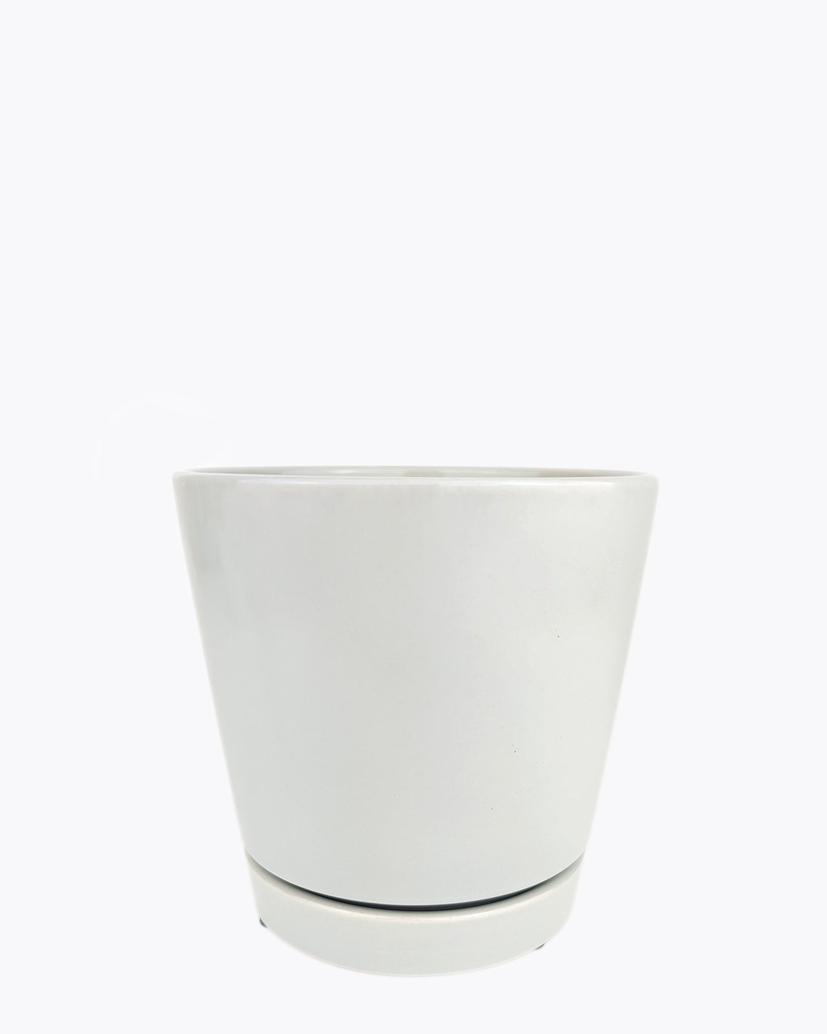 Maceta minimalista gris de 4 pulgadas con platillo - Imagen 13 de 14