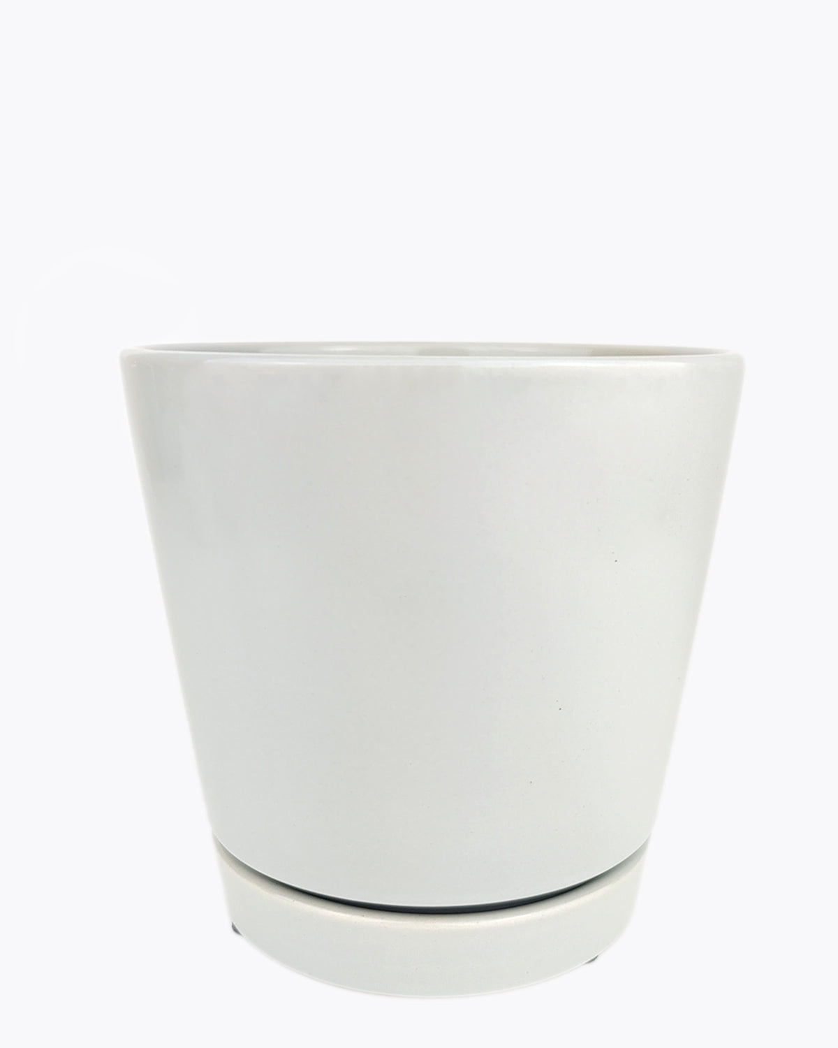 Maceta minimalista gris de 4 pulgadas con platillo - Imagen 14 de 14