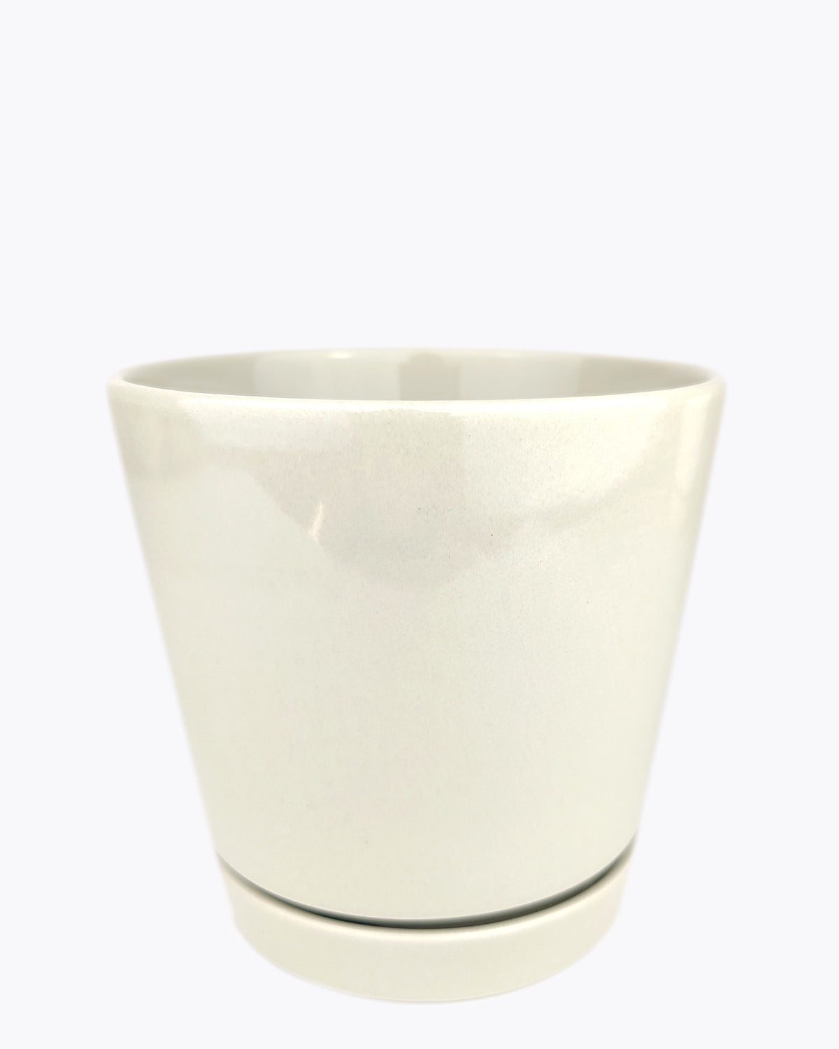 Plantadora minimalista de avena de 4 pulgadas con platillo - Imagen 14 de 14