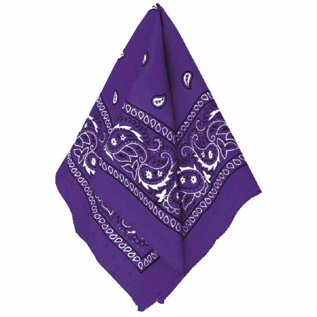 Team Spirit Bandana Sports Party Pep Rally Halloween Costume Accessory 12 COLORS - Picture 12 of 13