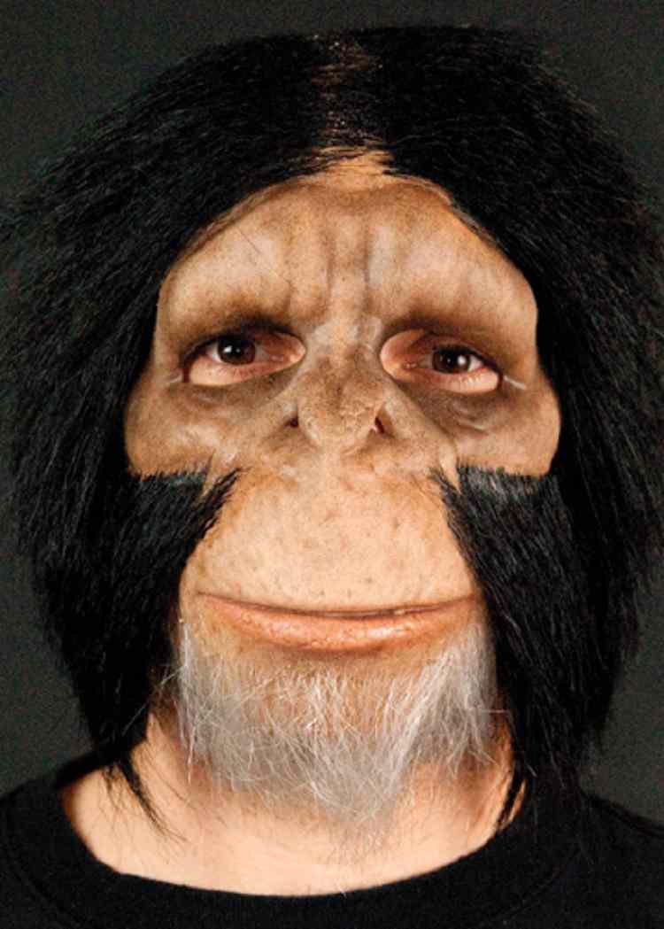 Chimpanzee Face Mask Animal Monkey Ape Fancy Dress Halloween Costume Accessory - Picture 1 of 2