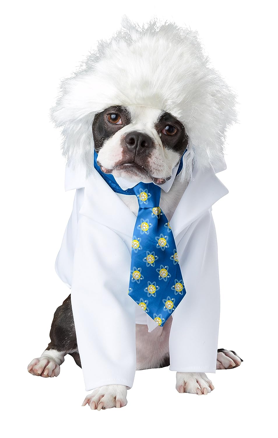 Al-Bark Einstein Scientist Albert Cute Fancy Dress Halloween Pet Dog Cat Costume - Picture 7 of 10