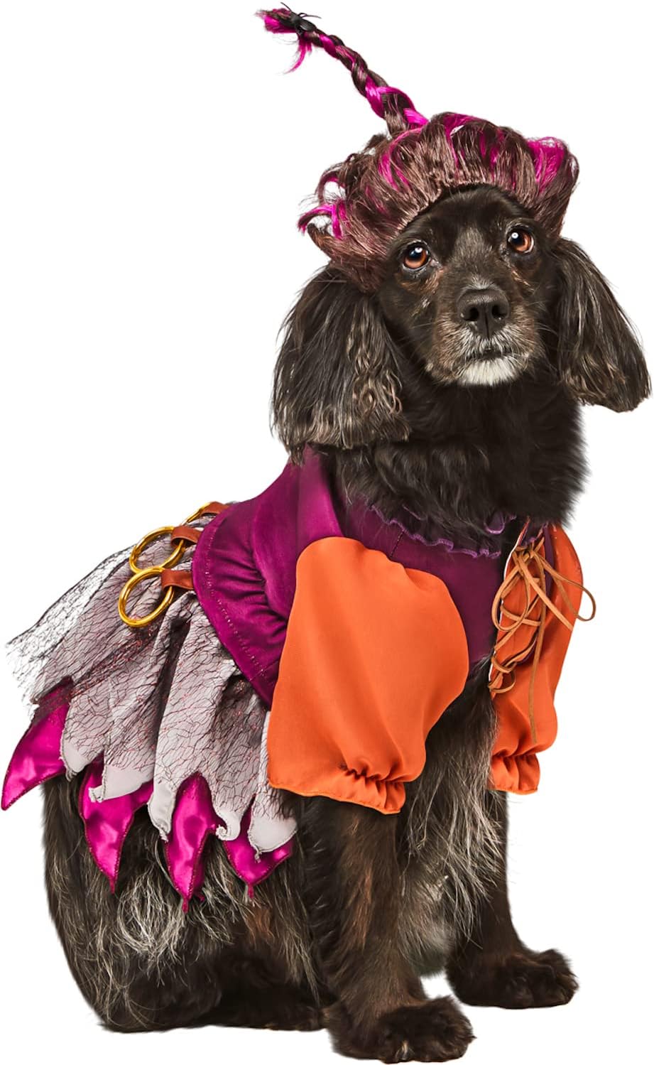 Mary Sanderson Hocus Pocus Witch Fancy Dress Up Halloween Dog Cat Pet Costume - Picture 7 of 10
