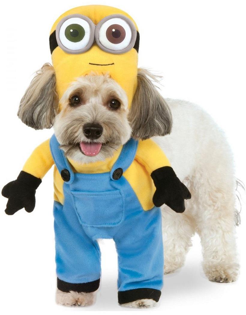 Minion Bob Arms Despicable Me Fancy Dress Up Halloween Pet Dog Cat Costume - Picture 5 of 6