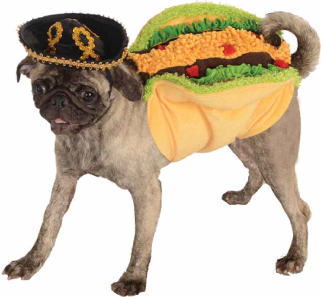 Fiesta Cinco De Mayo Dress Up Halloween Pet Dog Cat Costume